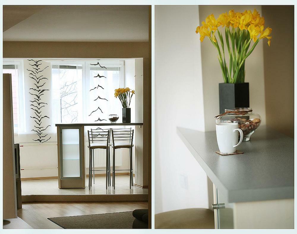 Apartment In The Center Of Klaipeda Butas Klaipedos Miesto Centre מראה חיצוני תמונה